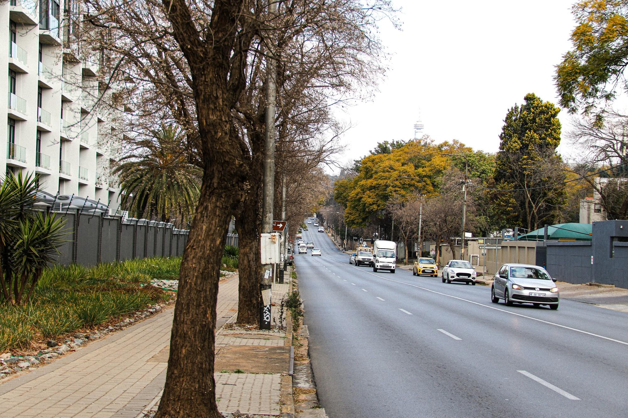 Street-level lived environment in Rosebank: ordinary movement, residential edges and everyday-use context